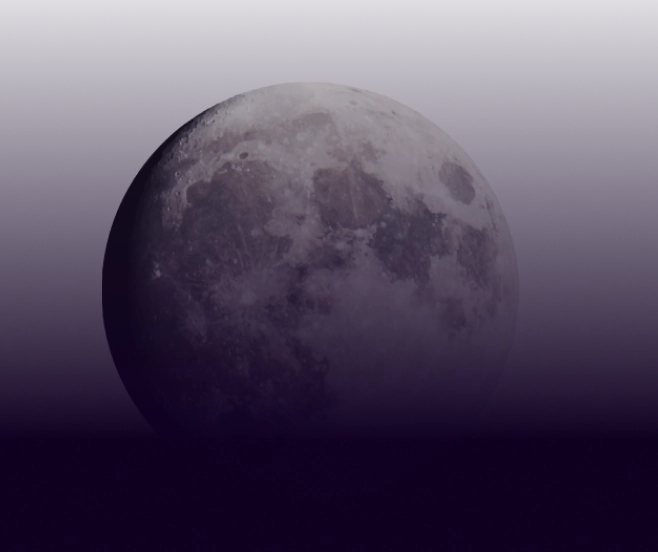 Moon Light Phylix Newsletter Background